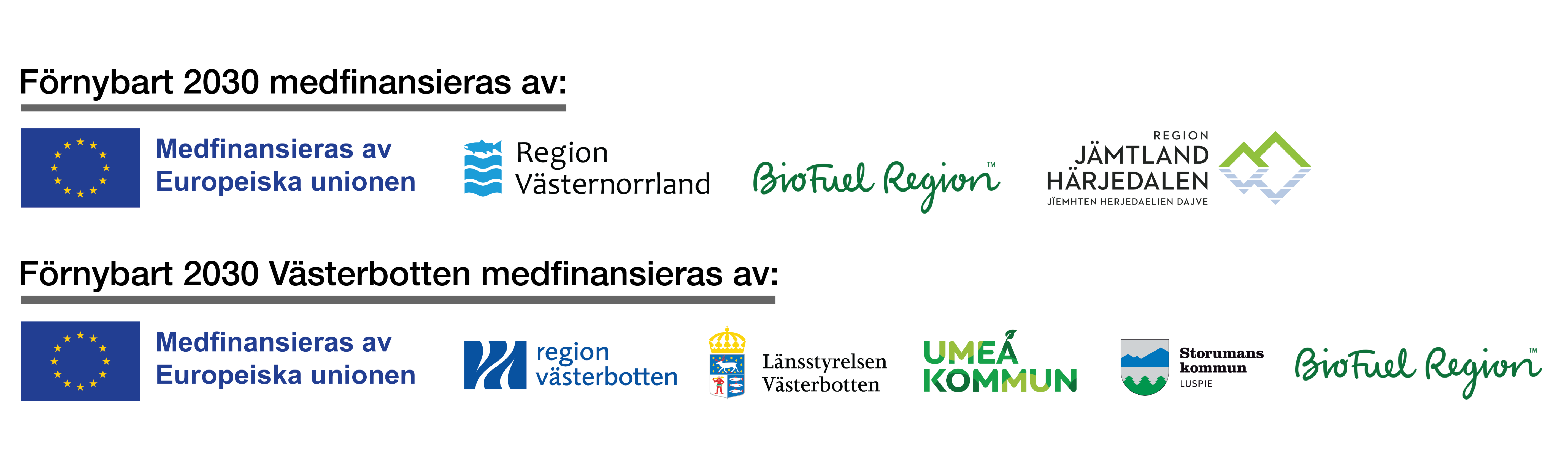 Träffeb samarrangeras av projekten Förnybart 2030 och Förnybart 2030 Västerbotten. Förnybart 2030 drivs av Energikontoret Jämtland Härjedalen, Region Jämtland Härjedalen, BioFuel Region och Energikontoret Västernorrland. Det finansieras av EU:s regionalfond, Region Jämtland Härjedalen, Region Västernorrland och BioFuel Region.Förnybart 2030 Västerbotten drivs av BioFuel Region, Umeå kommun och Storumans kommun kommun. Projektet finansieras av dessa tre parter tillsammans med EU:s regionalfond