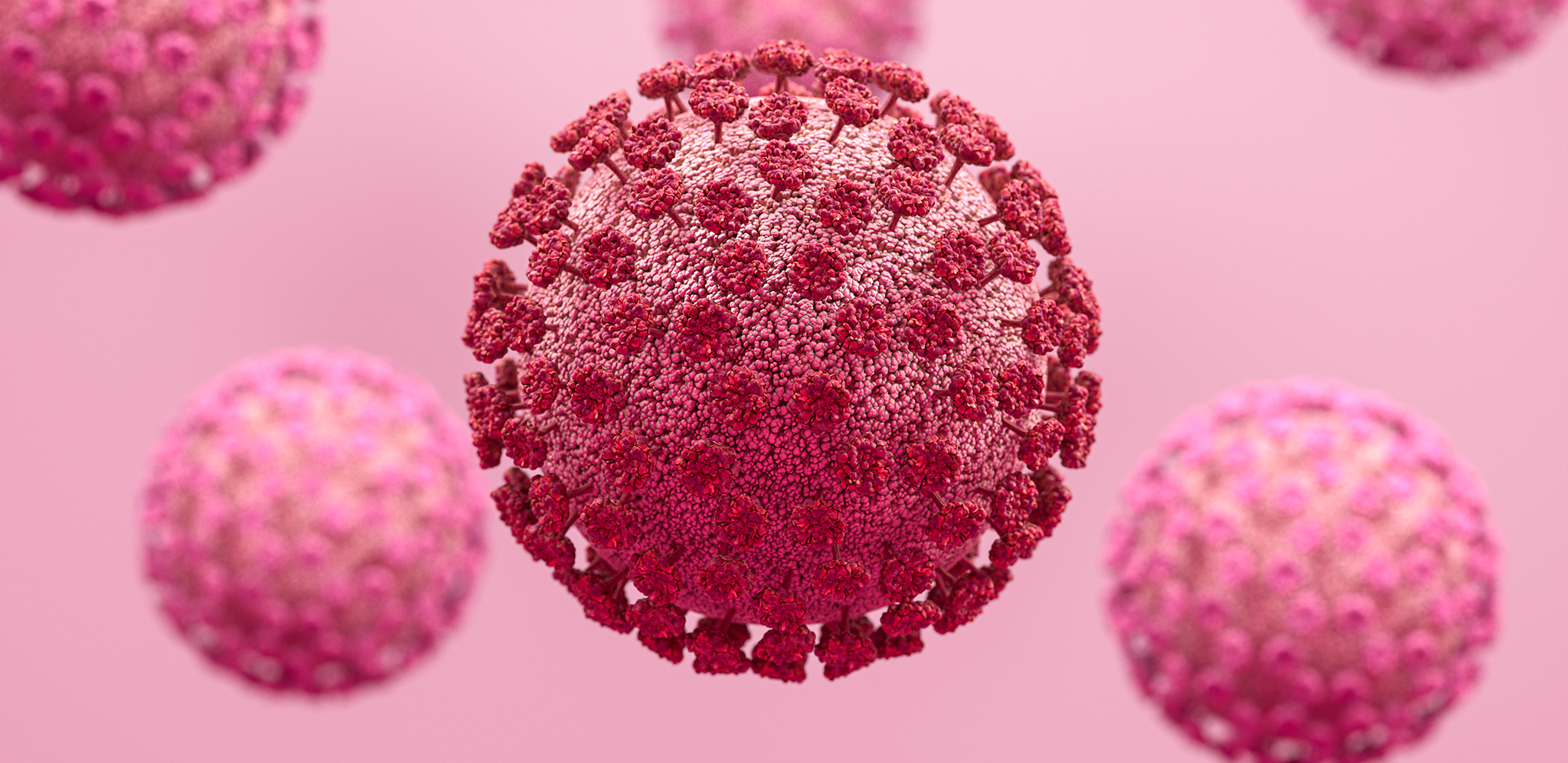 Förstorad bild av Coronavirus
