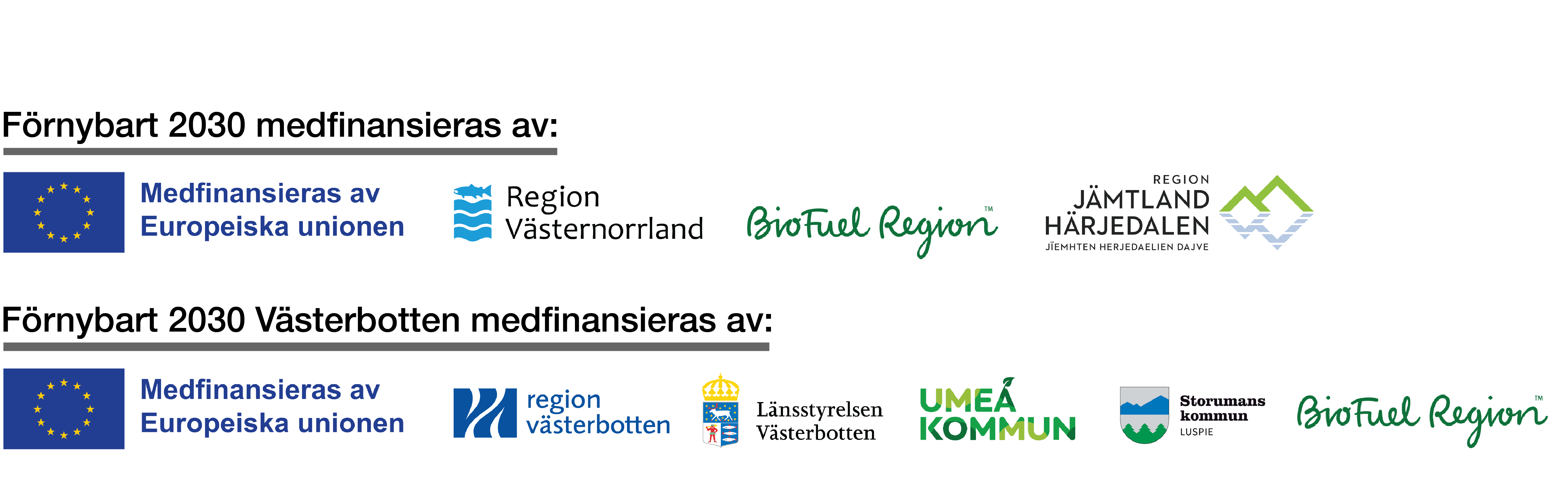 Roadshowen samarrangeras av projekten Förnybart 2030 och Förnybart 2030 Västerbotten. Förnybart 2030 drivs av Energikontoret Region Jämtland Härjedalen, BioFuel Region och Energikontoret Västernorrland. Det finansieras av EU:s regionalfond, Region Jämtland Härjedalen, Region Västernorrland och BioFuel Region. Förnybart 2030 Västerbotten drivs av BioFuel Region, Umeå kommun och Storuman kommun. Projektet finansieras av dessa tre parter tillsammans med EU:s regionalfond.