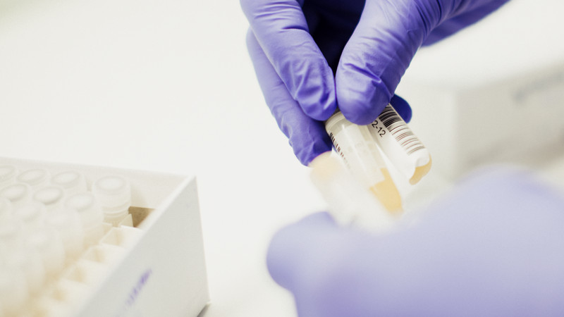 En hand håller i flera olika provrör.