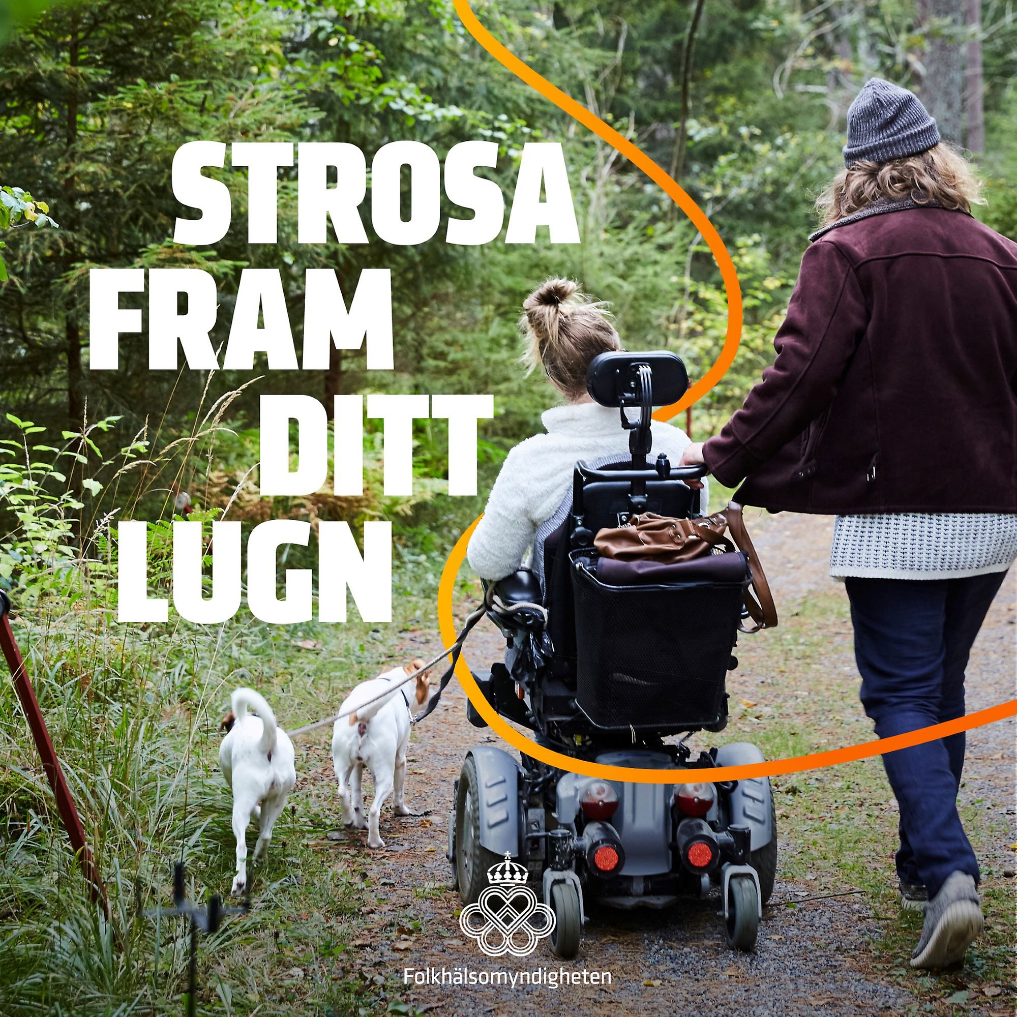 Två personer promenerar på en stig i skogen, en av personerna är rullstolsburen och håller två hundar i koppel. Texten Strosa fram ditt lugn står på bilden.