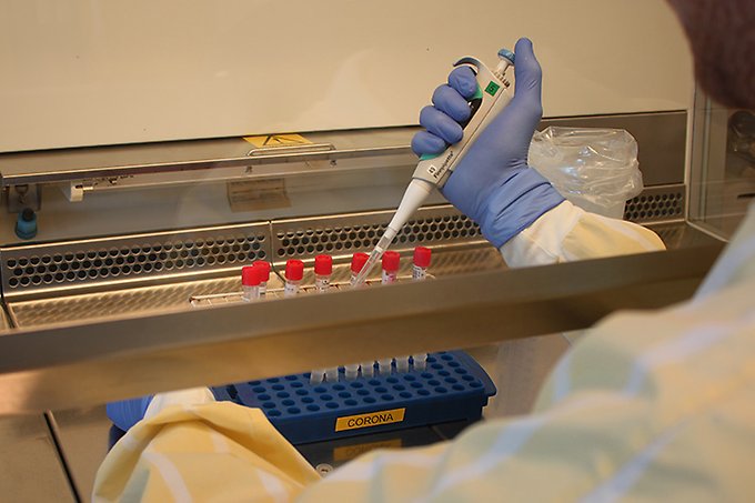 Labbmiljö där ett par handskbeklädda händer hanterar prover ur ett provrör med hjälp av en pipett