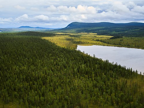 Bilden visar ett vidsträckt skogslandskap med sjöar och myrmark.