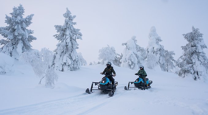 Två blå skotrar åker genom snötyngd skog